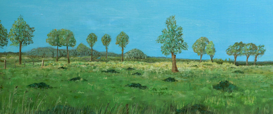 landschap detail: bomen in weiland
