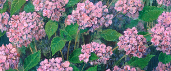 landschap detail: hortensia