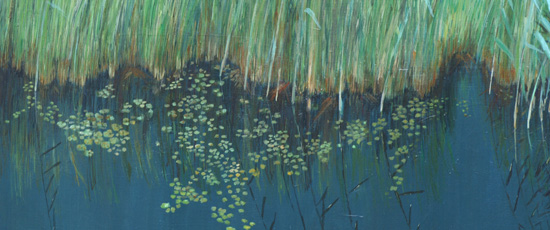 landschap detail: rietkraag