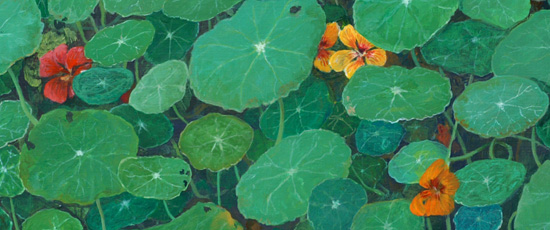 landschap detail: oostindische kers