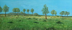 landschap detail: bomen in weiland